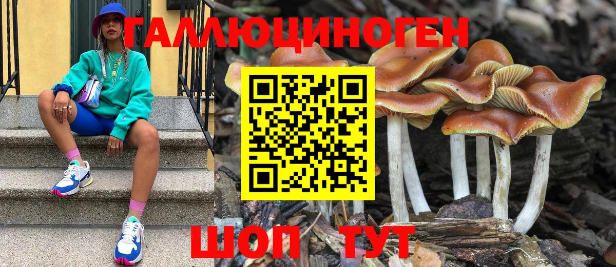 Борзя  Галлюциногенные грибы мицелий  Вход с VPN 